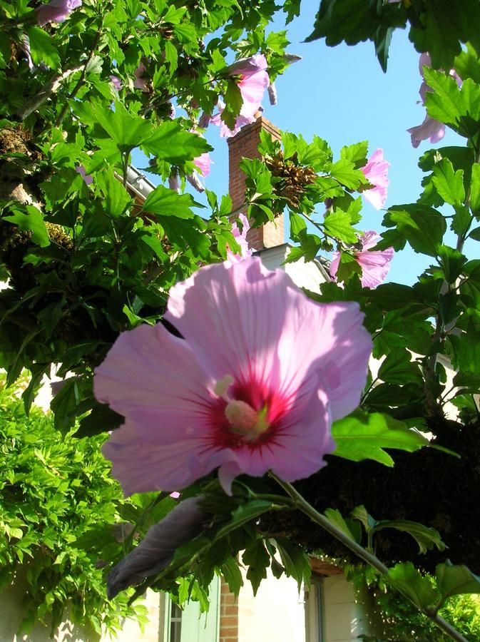 Le Petit Jardin Yoyo Hotel Monts Bagian luar foto