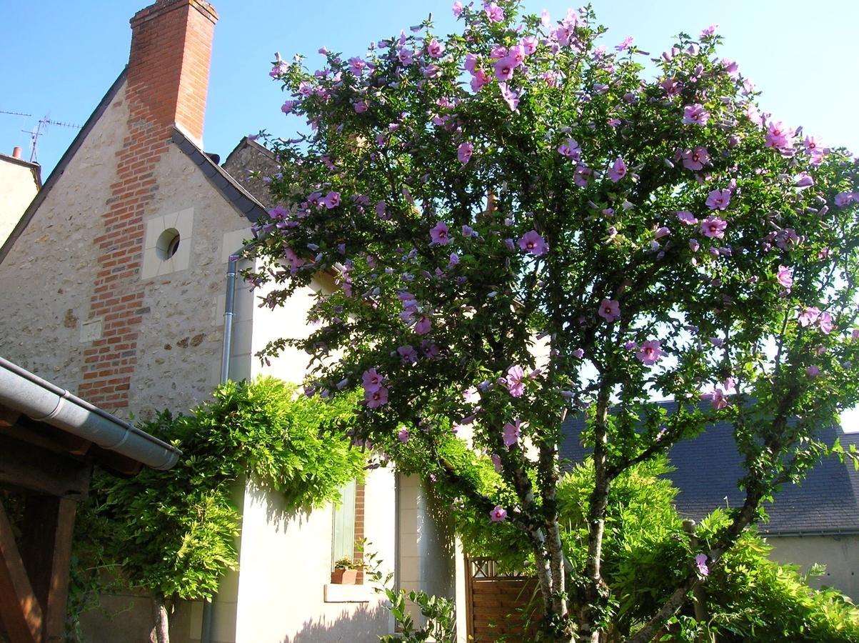 Le Petit Jardin Yoyo Hotel Monts Bagian luar foto